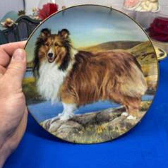 Danbury Mint Shetland Sheepdog Sheltie " Summer Outing" LE / 8 inch plate - Picture 1 of 2